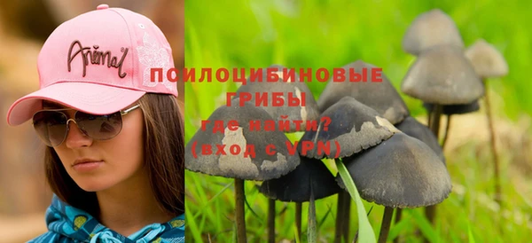 крисы Липки