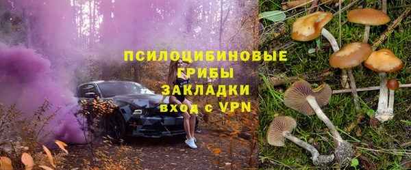 крисы Липки