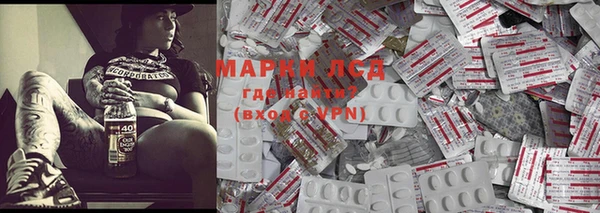 крисы Липки