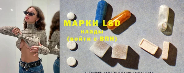 крисы Липки