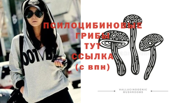 крисы Липки