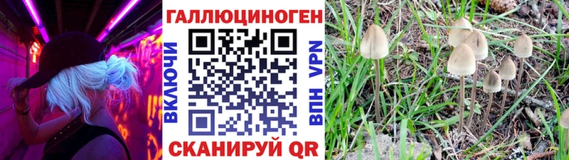 мориарти как зайти  наркошоп  Мытищи  Псилоцибиновые грибы мухоморы 