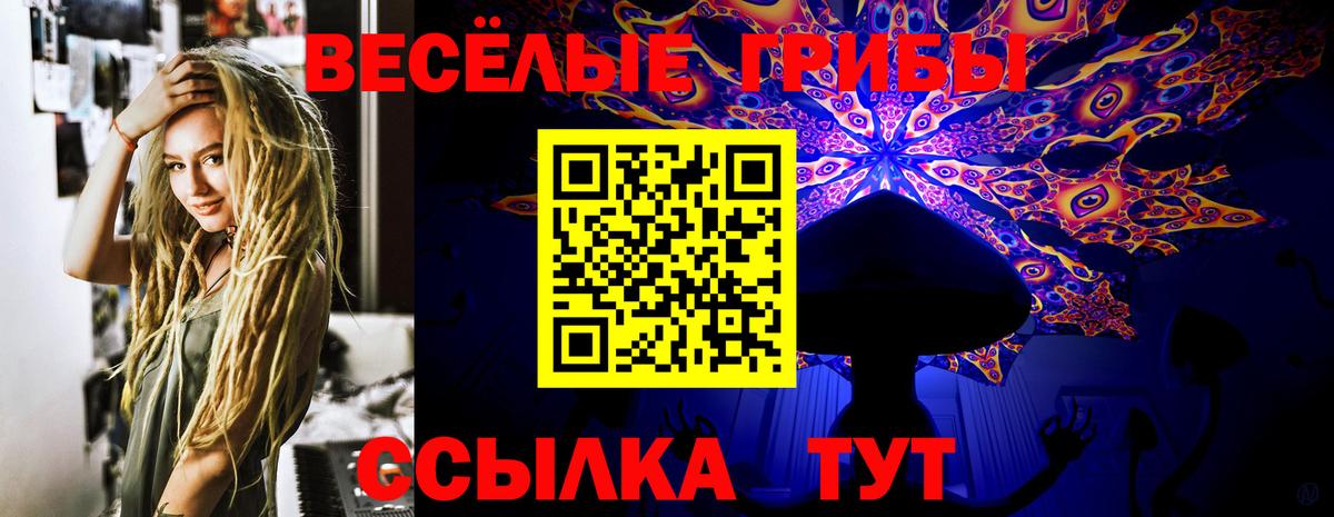 Мытищи  Галлюциногенные грибы Cubensis  Вход с VPN 