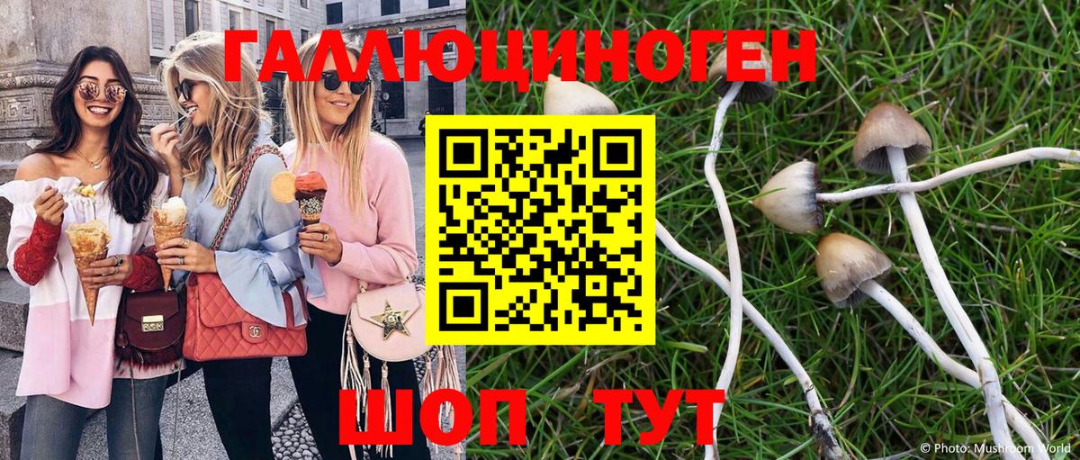 Псилоцибиновые грибы мухоморы  Мытищи 