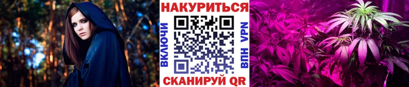 Бошки Шишки планчик  наркотики  Мытищи 